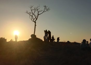 “Pohon Jomblo” Holoriang Kini Menjadi Rebutan Kawula Muda