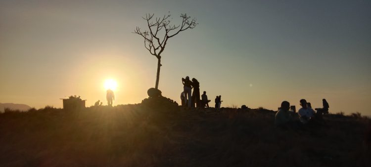 “Pohon Jomblo” Holoriang Kini Menjadi Rebutan Kawula Muda