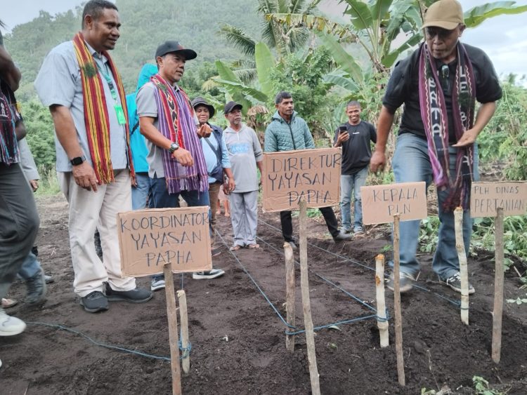 Gandeng Yayasan PAPHA Indonesia, PLN Membuat Program Penguatan Ekonomi Masyarakat Nubahaeraka