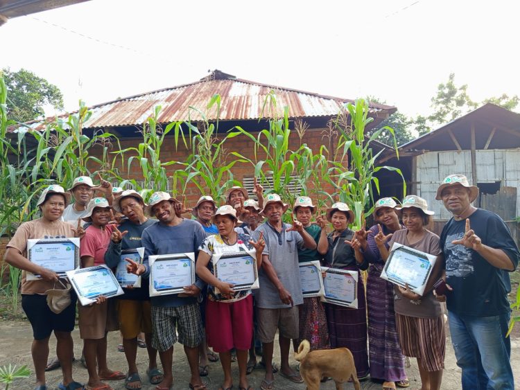 PLN UIP Nusra Lanjutkan Program TJSL di Lembata, Perkuat Pelatihan Petani dan Sarana Air Bersih