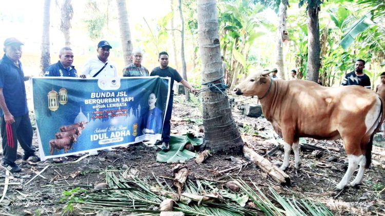 Julie Sutrisno Laiskodat Bagikan 16 Hewan Qurban. Kabupaten Lembata Kebagian 2 Ekor Sapi.