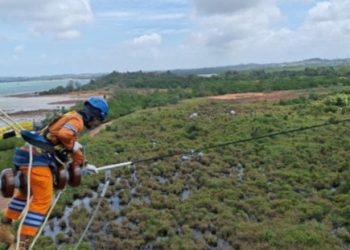 Wujud Kontribusi ke Negara, PLN Setor Rp65,59 Triliun Lewat Dividen, Pajak, dan PNBP