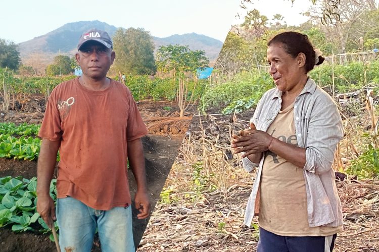 Gius Berkisah, Mariana Menangis: Lahan Kering di Solor Jadi Sumber Penghidupan