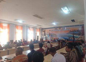 255 PPPK Paruh Waktu Tetap Bekerja, Bupati Lembata Kaji Peluang Pemberian TPP