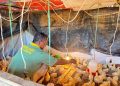 Lewat Program Asimilasi, Lapas Kelas III Lembata Bekali WBP Keterampilan Produktif