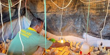 Lewat Program Asimilasi, Lapas Kelas III Lembata Bekali WBP Keterampilan Produktif