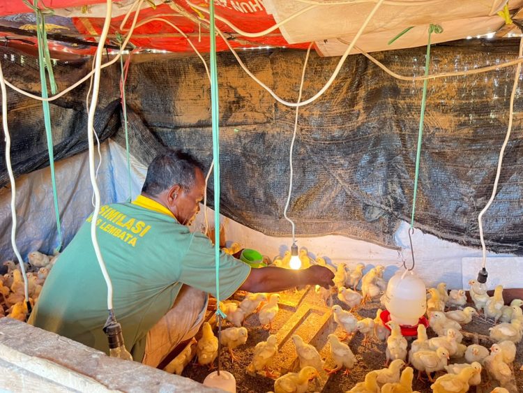 Lewat Program Asimilasi, Lapas Kelas III Lembata Bekali WBP Keterampilan Produktif