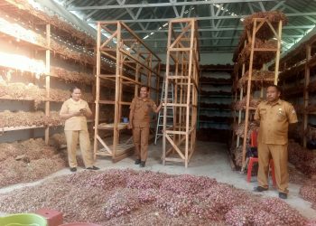 Cek Gudang Bawang di Wangatoa, Bupati Lembata: Jaga Sirkulasi Udara, Tekan Penyusutan