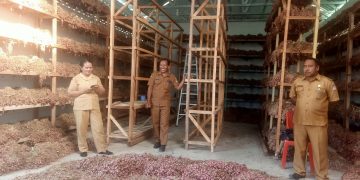 Cek Gudang Bawang di Wangatoa, Bupati Lembata: Jaga Sirkulasi Udara, Tekan Penyusutan