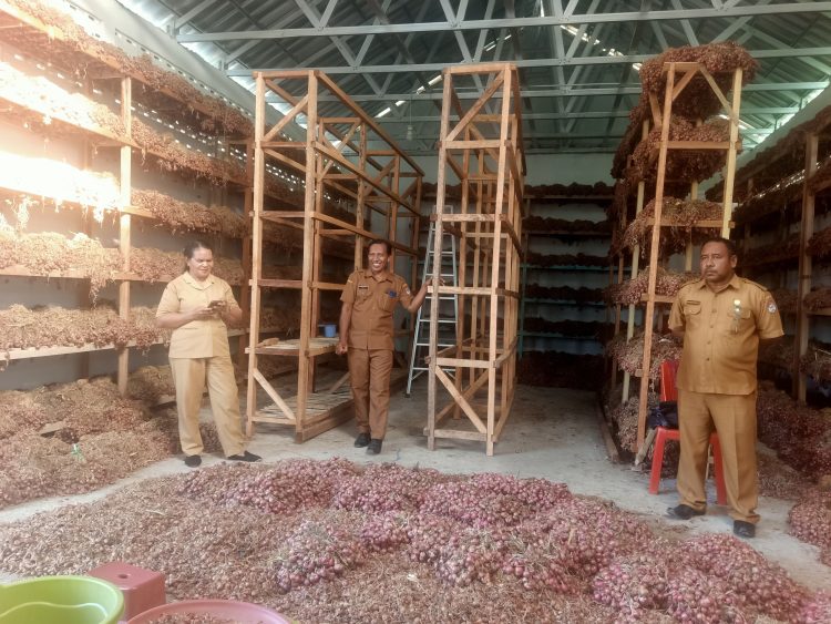 Cek Gudang Bawang di Wangatoa, Bupati Lembata: Jaga Sirkulasi Udara, Tekan Penyusutan
